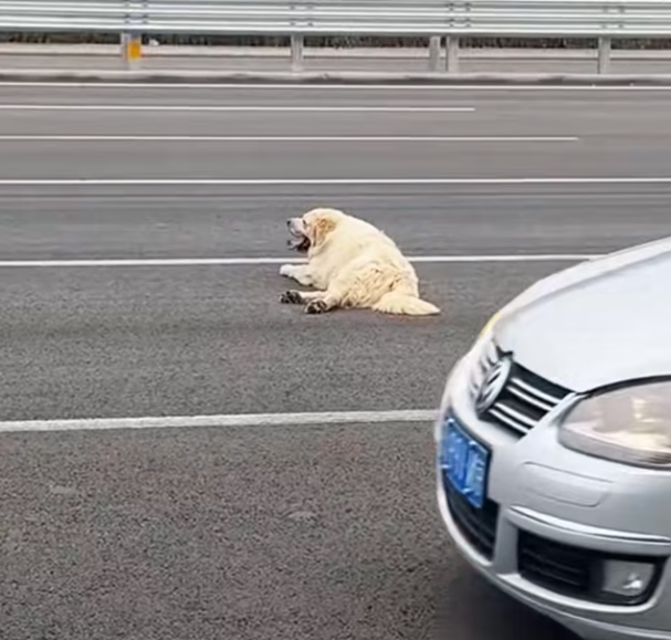 T0201036 Left helpless, crying for a miracle.