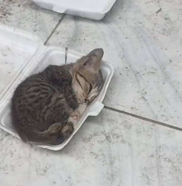 T0201038 Trapped in fear, shaking and crying.