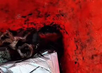 T0201028 Trapped in pain, screaming for survival.