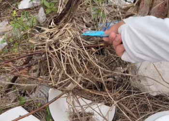 T0201039 His voice begged before his body gave up.