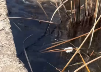 T0201040 He cried because hope was slipping away.