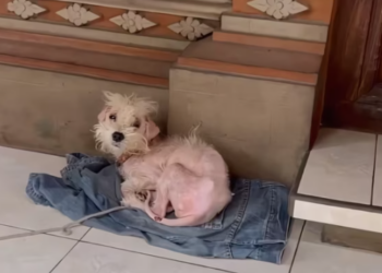 T0401010 Too tired to cry, too young to suffer like this.