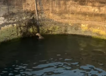 T0701005 Heavy wings, cold water, fading strength.