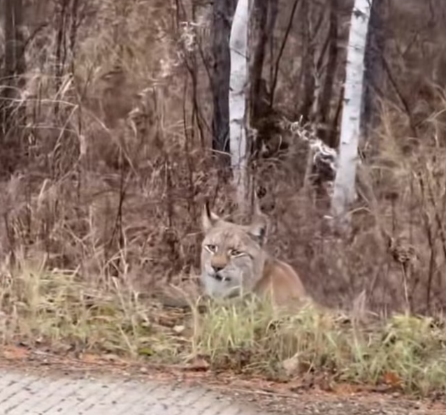 T0701013 Pain had become her normal… until someone noticed.