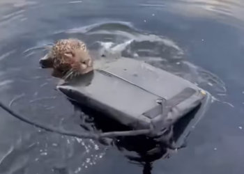 T0701018 Hunger stole everything… except the will to live.