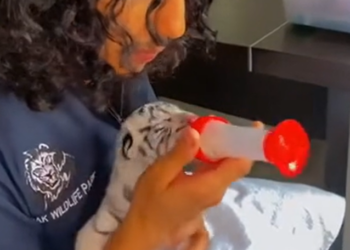 T0701019 Don’t worry… you’re not alone anymore.