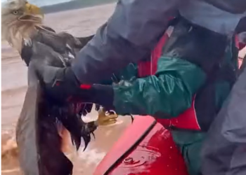 T0701024 He didn’t run. He didn’t know where to go.