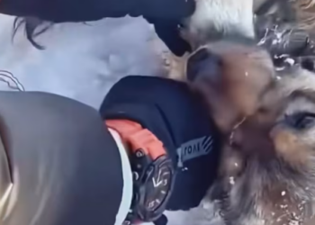 T0701028 Born broken… survived anyway.