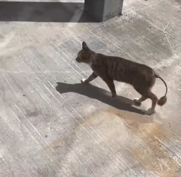 T0701029 Trapped in pain he never chose.