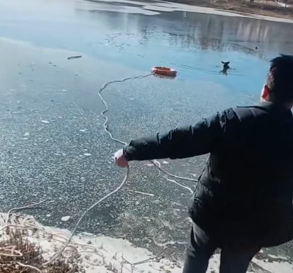 T0701031 So light… because he had nothing left.