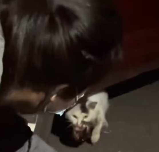 T0701032 He lay there, shaking, hoping someone would notice.