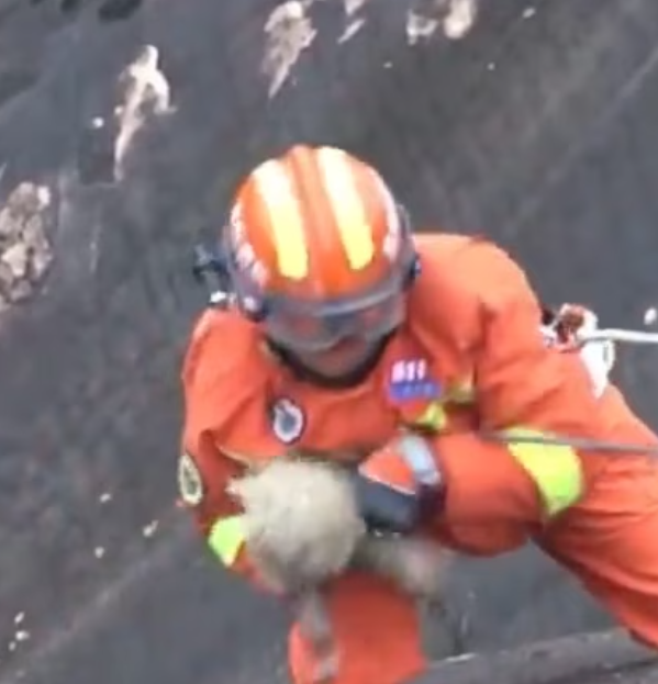 T0701039 Every look was a silent plea.