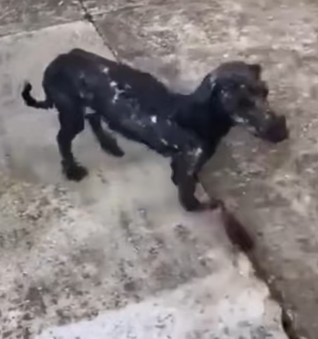 T0701043 Every breath was a struggle.