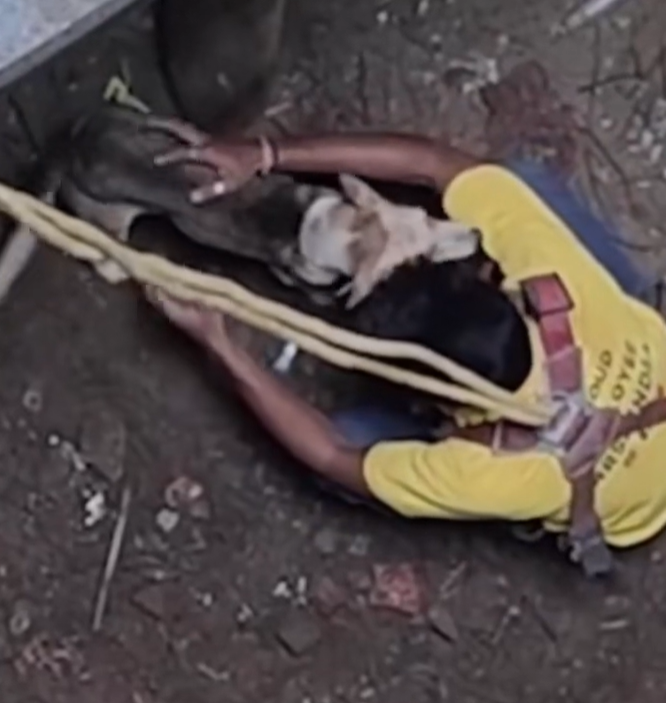 T0701044 Pain shaped his body, hope shaped his eyes.