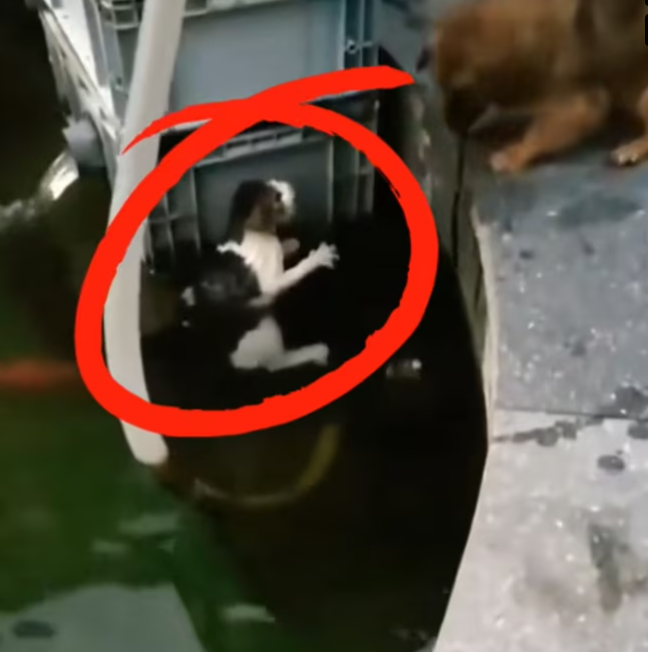 T0701049 Left alone, but not forgotten.