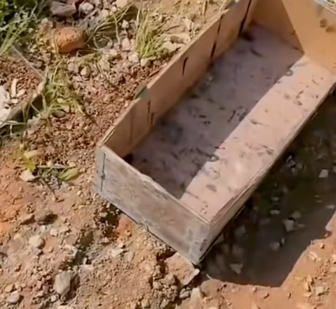 T1001008 Forgotten on the roadside, clinging to life.