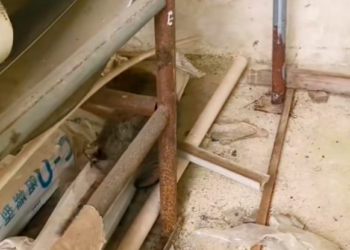 T1201003 Fear filled his eyes long before help arrived.