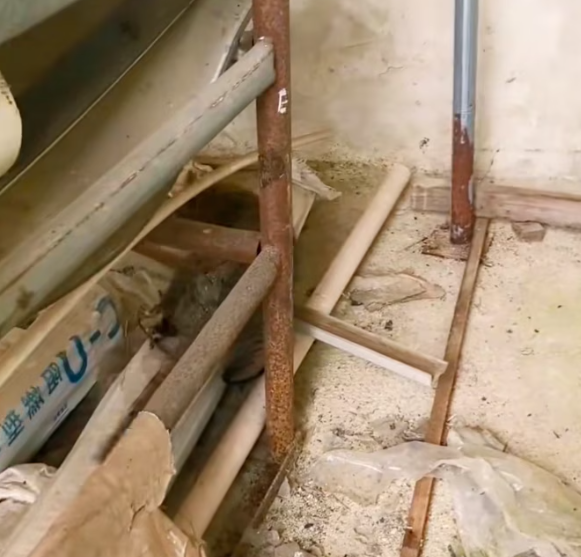 T1201003 Fear filled his eyes long before help arrived.