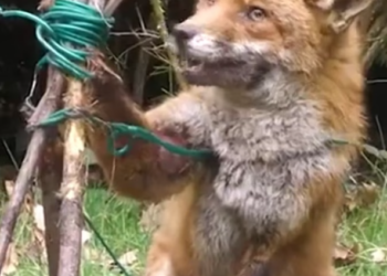 T1201014 He didn’t understand why the world hurt this much.