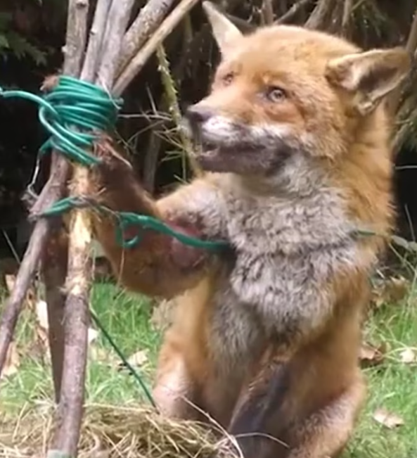 T1201014 He didn’t understand why the world hurt this much.