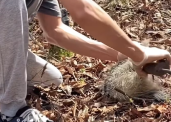 T1201016 No warmth, no shelter—just fear and pain.