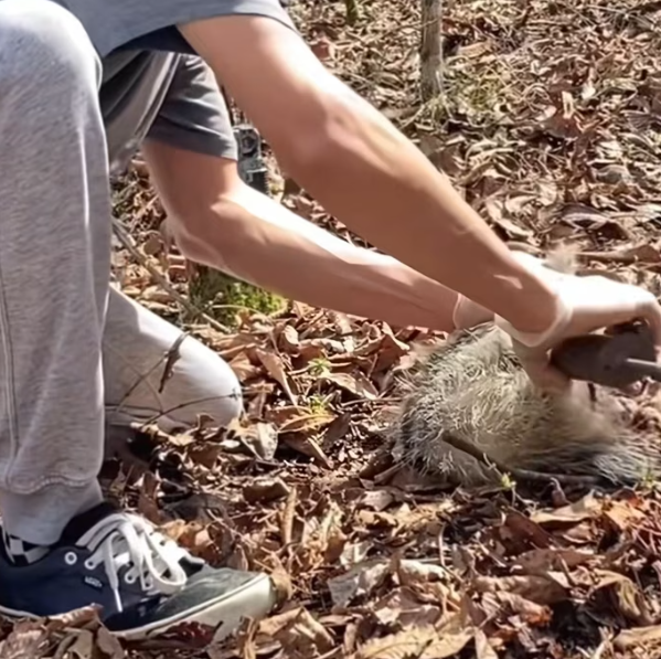 T1201016 No warmth, no shelter—just fear and pain.