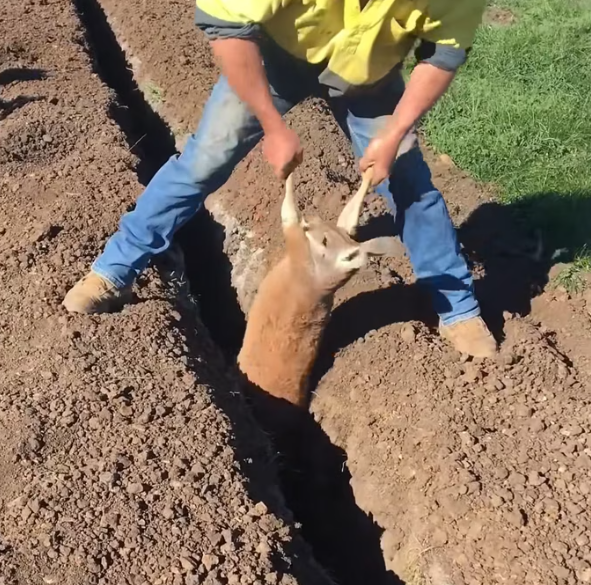 T1201018 Every breath sounded like it could be the last.