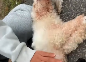 T1201023 They entered this world already abandoned.