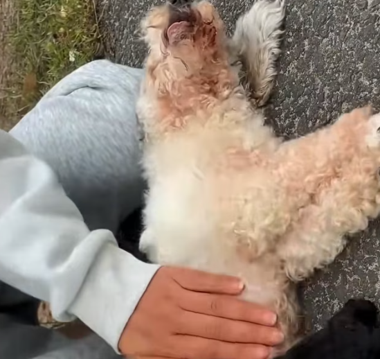 T1201023 They entered this world already abandoned.