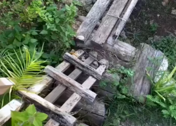 T1201027 Cold ground, empty streets, and a broken heart.