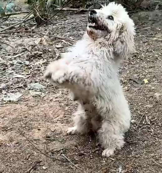 T1201037 The road kept moving… but it couldn’t.