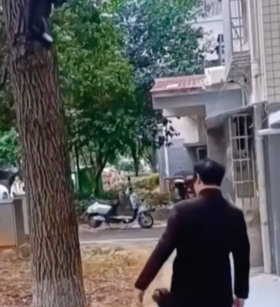 T1601001 It didn’t scream for attention… it screamed because it had no other choice.