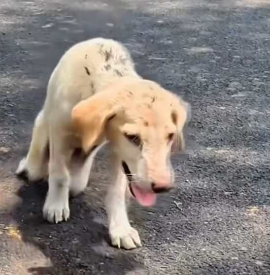 T1601002 In the darkness, those eyes were still searching for hope.