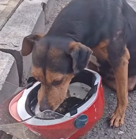 T1601004 No one heard the quiet cry in a noisy world.