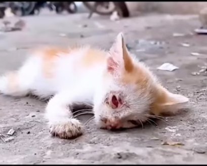 T1601007 Those eyes weren’t asking for much… just to be seen.