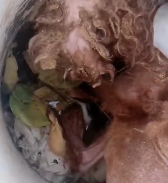 T1601008 Even surrounded by fear, it kept holding on.