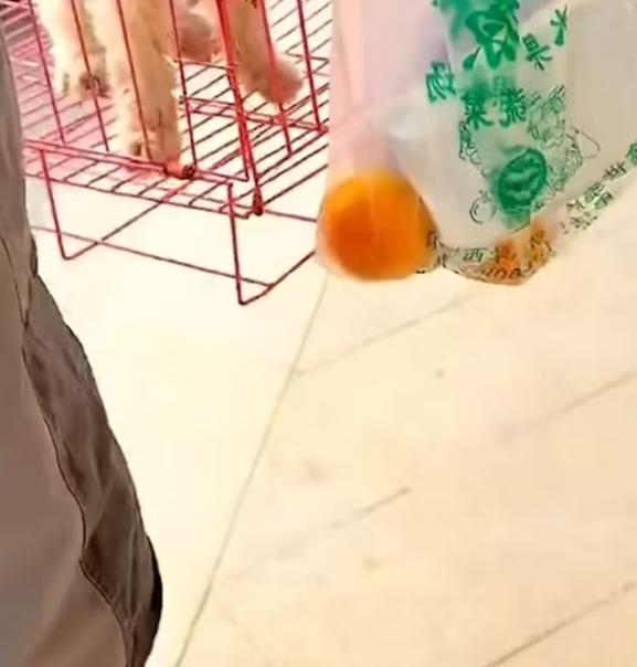 T1601020 Some pain doesn’t bleed, but breaks the heart.