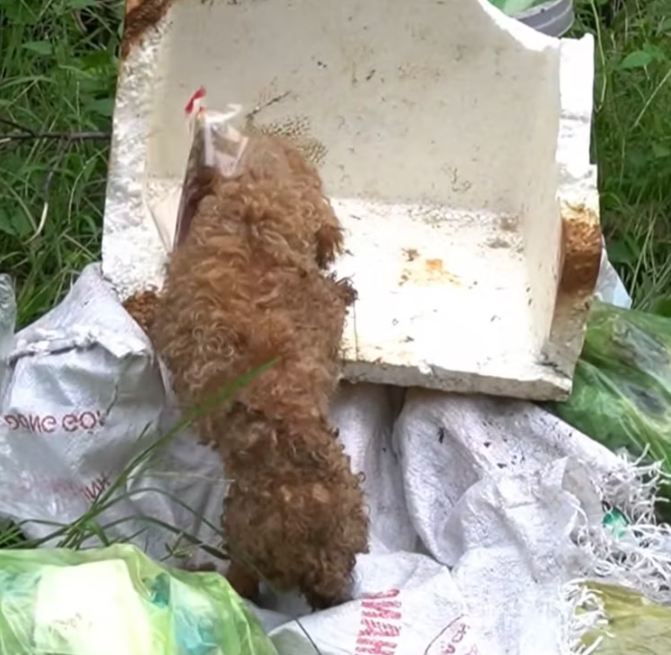 T1601024 It didn’t resist, it simply endured.