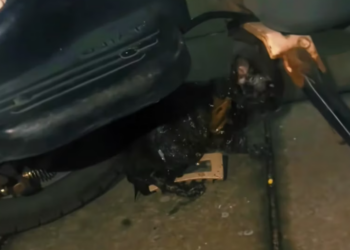 T1601035 Life can be as fragile as a single breath.