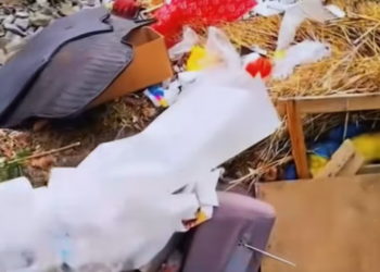 T1601039 A tiny life fighting the entire world alone.