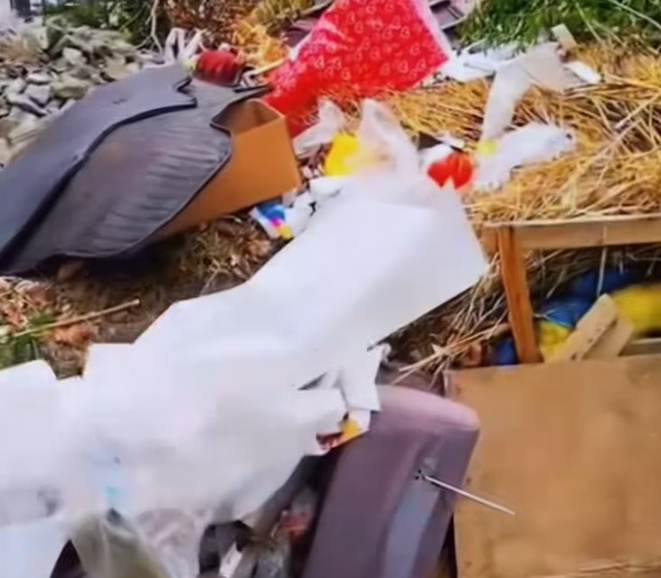 T1601039 A tiny life fighting the entire world alone.