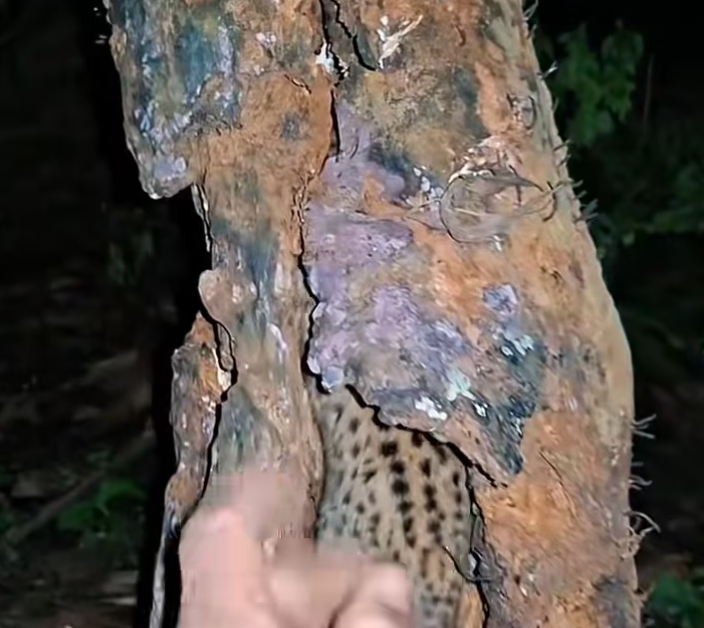 T1601041 Some eyes make it impossible to look away.