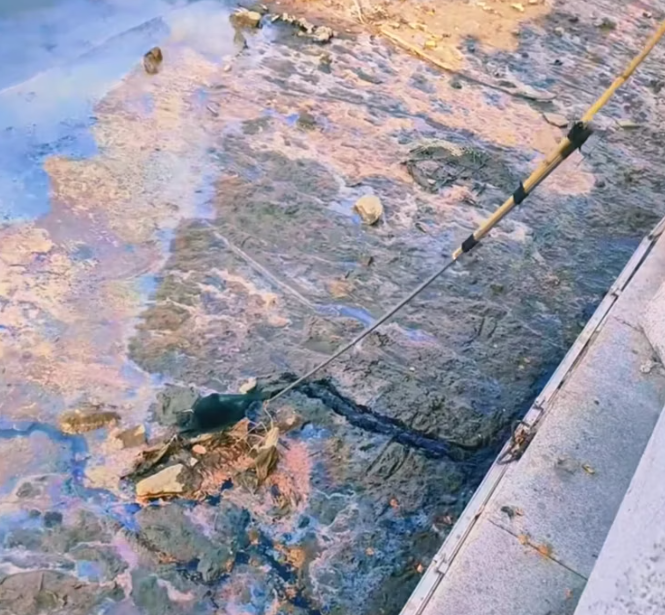 T1601043 In that moment, it trusted humanity with everything.