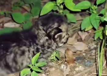 T1601050 One reaching hand can change everything.