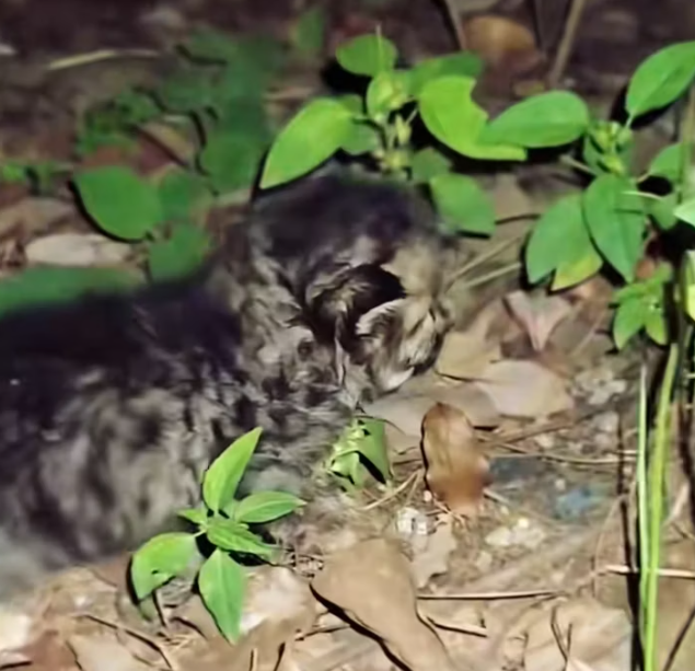 T1601050 One reaching hand can change everything.