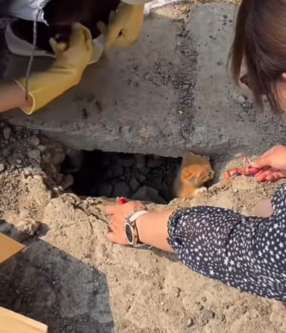 T0201024 Weak, shaking, and screaming for life.