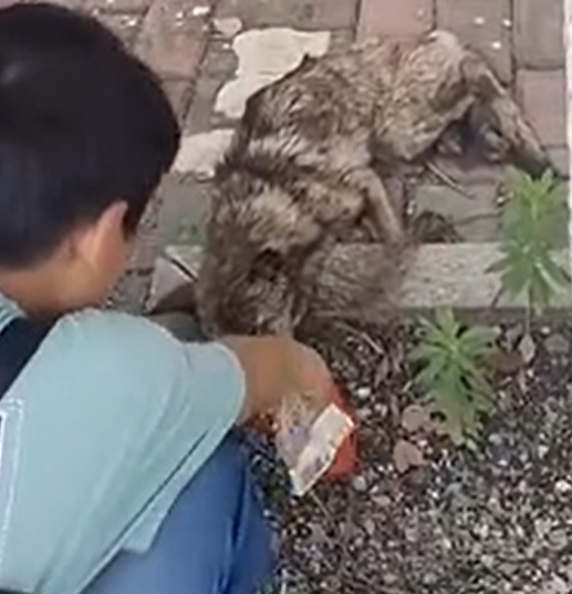 T0201026 Fear forced him to cry without stopping.